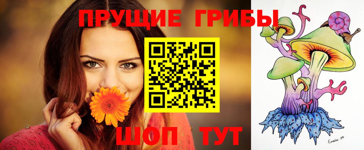Псилоцибиновые грибы мухоморы Ногинск