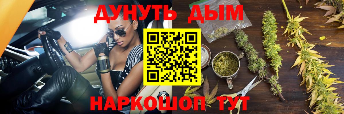 Конопля гибрид Ногинск